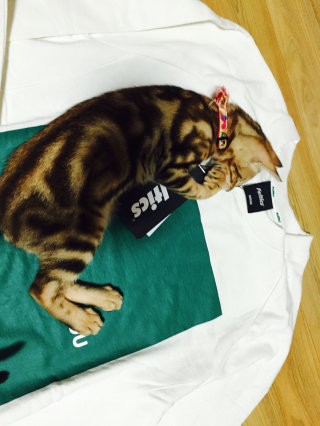 별찡님이 올린 리뷰 사진 3
