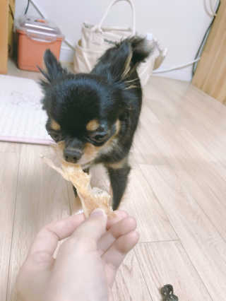 everydaymoment님이 올린 리뷰 사진 2