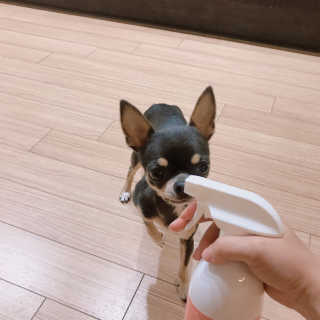 제리톰레나님이 올린 리뷰 사진 3