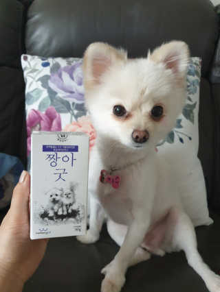 멍멍언니님이 올린 리뷰 사진 1