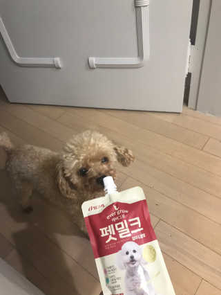 [빙그레] 에버그로 생유산균 1봉（10포입）+펫밀크2팩 — 3.5점을 준 리뷰어가 2019년 5월 올린 사용 사진