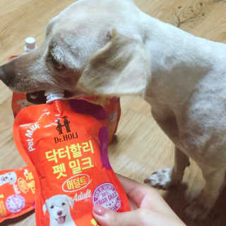 닥터할리펫밀크 8종 — 4.83점을 준 리뷰어가 2018년 8월 올린 사용 사진