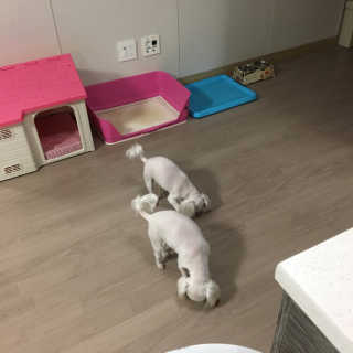 임하연님이 올린 리뷰 사진 4