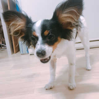 마법의성님이 올린 리뷰 사진 4