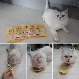 [펫토리아]짜먹는 한입뚝딱 강아지.고양이 마약간식 — 5점을 준 리뷰어가 2019년 8월 올린 사용 사진