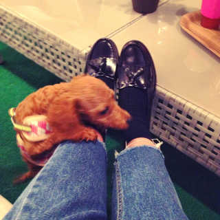 SuKyungKu님이 올린 리뷰 사진 2