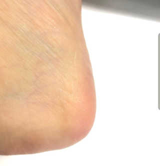 호블리 리뷰님이 올린 리뷰 사진 2