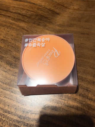 [블랙루즈] 피치 커버 벨벳 쿠션 2종 중 택1 — 4.5점을 준 리뷰어가 2019년 10월 올린 사용 사진