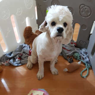 현희님이 올린 리뷰 사진 2