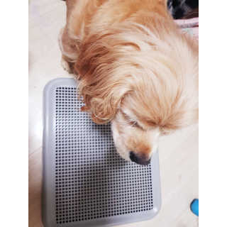 조소민님이 올린 리뷰 사진 1