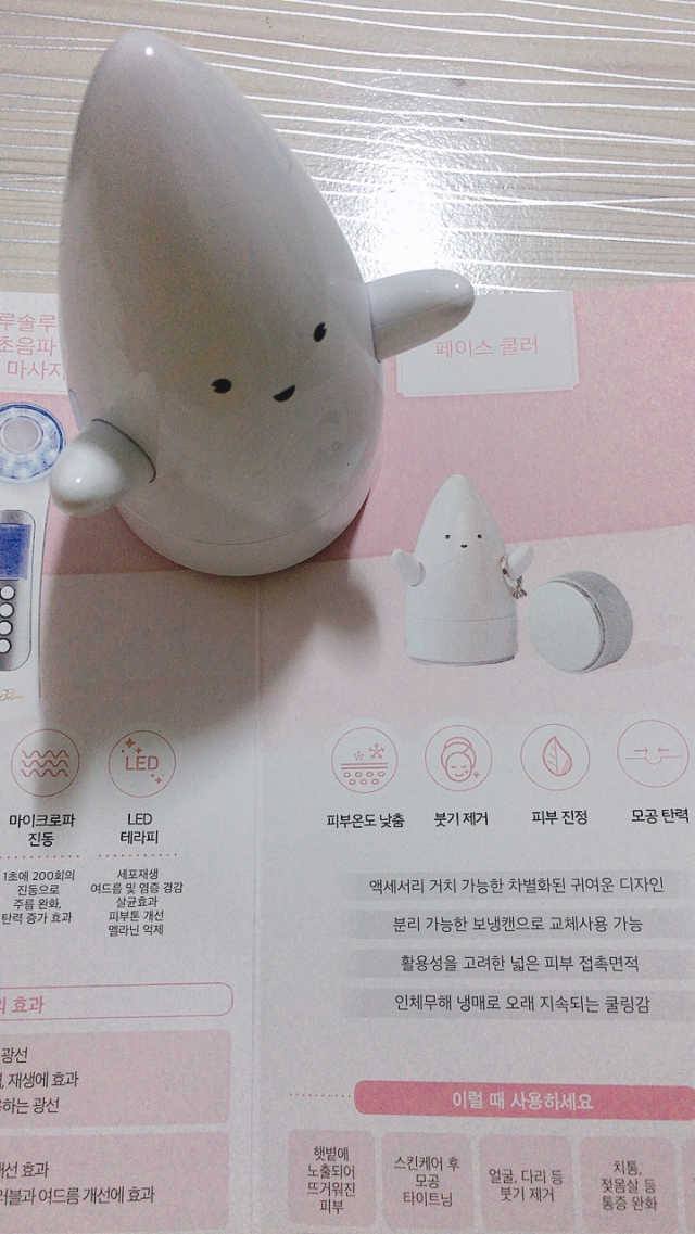 스타일 팔로우 스킨어블 페이스 아이스 쿨러 리뷰 사진