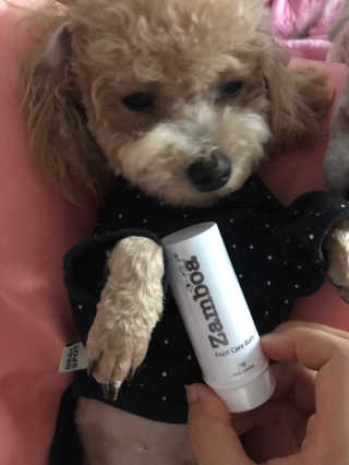 모모맘님이 올린 리뷰 사진 4