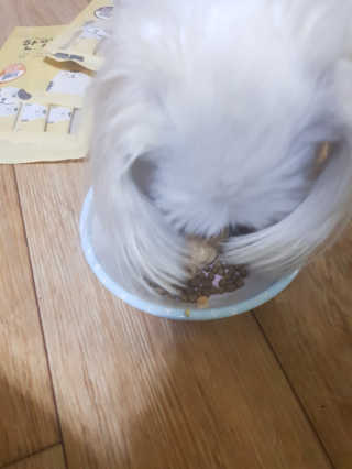 [펫토리아] 강아지,고양이겸용 짜먹는 한입뚝딱 — 1점을 준 리뷰어가 2019년 2월 올린 사용 사진