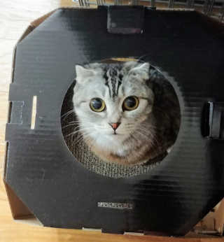 SoheeKim님이 올린 리뷰 사진 1