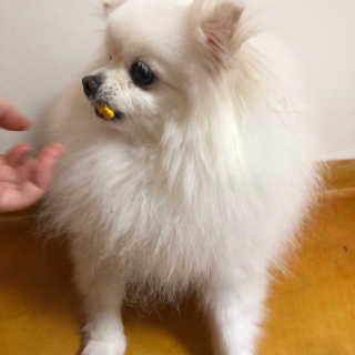 홍다예님이 올린 리뷰 사진 3