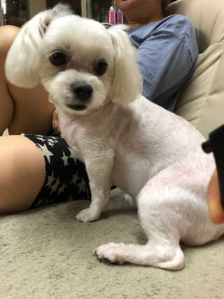 Canteen님이 올린 리뷰 사진 1