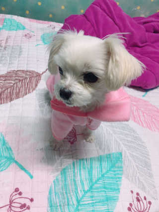 jjeong님이 올린 리뷰 사진 3