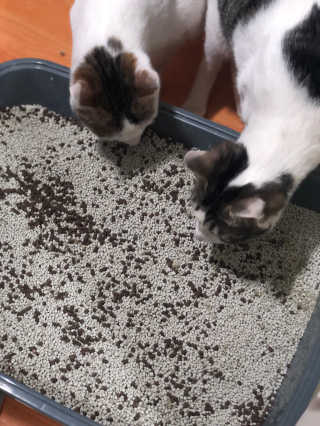 안녕소호님이 올린 리뷰 사진 2