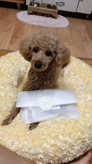 songyn님이 올린 리뷰 사진 3