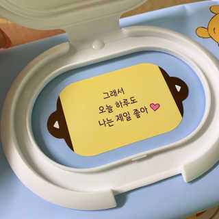 보솜이 아기물티슈 베이비케어 푸에디션 캡 74매 10입 — 5점을 준 리뷰어가 2019년 4월 올린 사용 사진