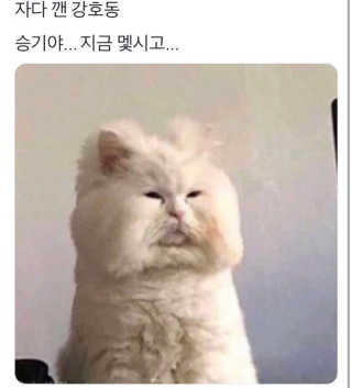 고은님이 올린 리뷰 사진 1