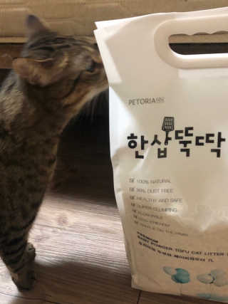[펫토리아]한삽뚝딱 프리미엄 고양이 두부모래 — 5점을 준 리뷰어가 2019년 8월 올린 사용 사진