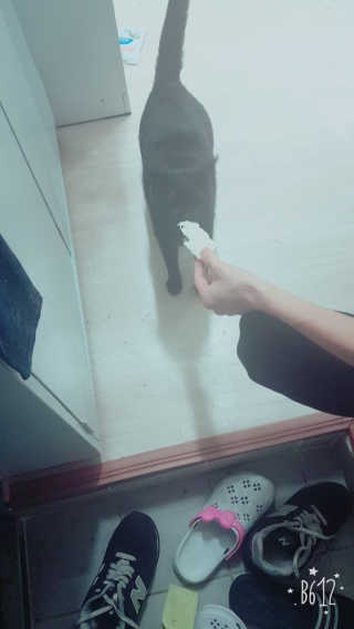noname님이 올린 리뷰 사진 1