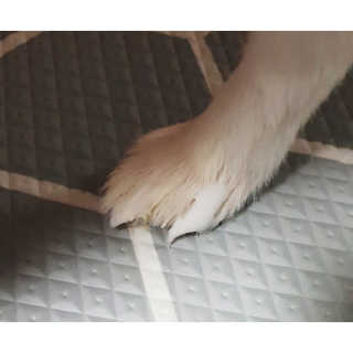 심쿵해에님이 올린 리뷰 사진 3