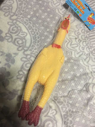 은율맘님이 올린 리뷰 사진 1