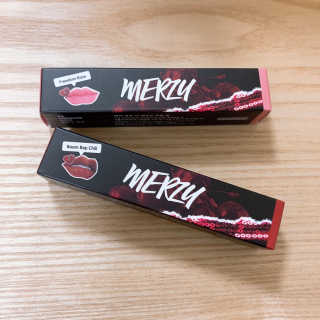 머지 오프 더 레코드 피팅립 — 4.5점을 준 리뷰어가 2019년 1월 올린 사용 사진