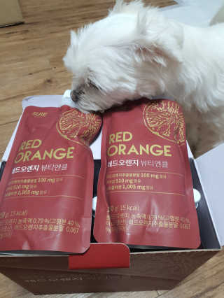 뽀오오옹님이 올린 리뷰 사진 2