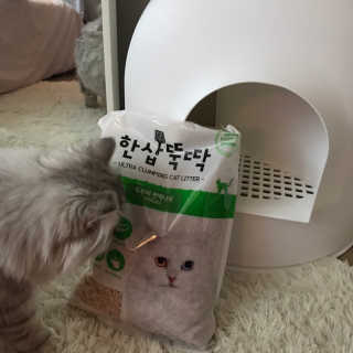 [펫토리아] BEST 고양이두부모래 6L 한삽뚝딱 — 4.5점을 준 리뷰어가 2019년 1월 올린 사용 사진