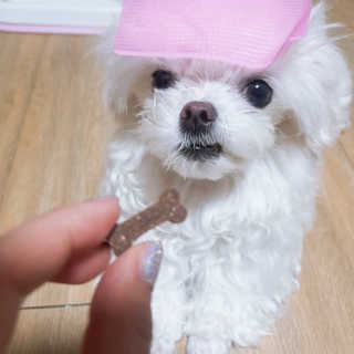 이다솜님이 올린 리뷰 사진 3