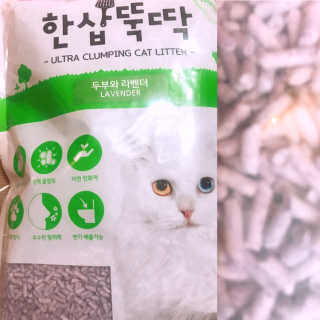 [펫토리아] BEST 고양이두부모래 6L 한삽뚝딱 — 5점을 준 리뷰어가 2019년 1월 올린 사용 사진