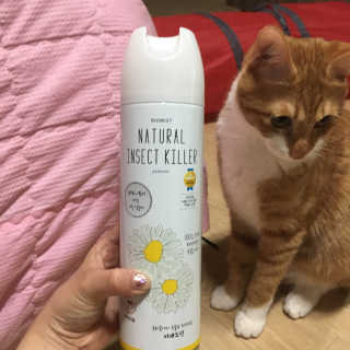 밍밍이이잉님이 올린 리뷰 사진 3
