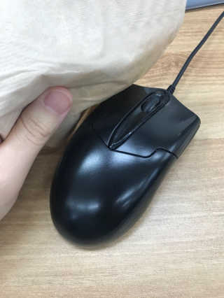 더블유드레스룸 퍼퓸 세니타이저 — 5점을 준 리뷰어가 2018년 4월 올린 사용 사진
