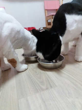 됴이님이 올린 리뷰 사진 2