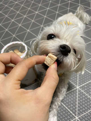 당근님이 올린 리뷰 사진 1