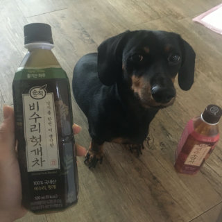 샨디콩님이 올린 리뷰 사진 2