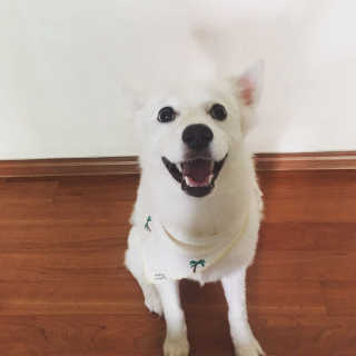 채연님이 올린 리뷰 사진 2