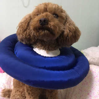은치치님이 올린 리뷰 사진 1