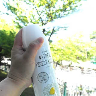 초롱남매맘님이 올린 리뷰 사진 3