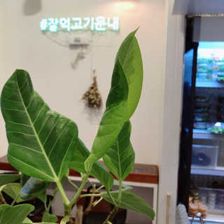 june25님이 올린 리뷰 사진 1