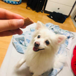 이겨울님이 올린 리뷰 사진 4