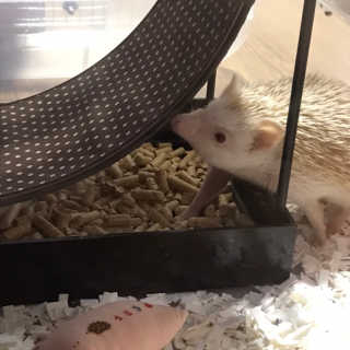 헬로유님이 올린 리뷰 사진 1