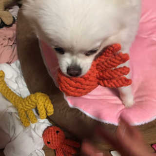 young님이 올린 리뷰 사진 3