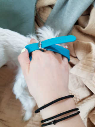 배엘세바님이 올린 리뷰 사진 4