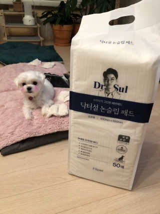 janoo11님이 올린 리뷰 사진 2