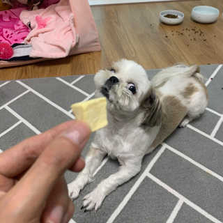 꾸웅다인님이 올린 리뷰 사진 2