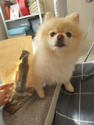 bangwoori님이 올린 리뷰 사진 3